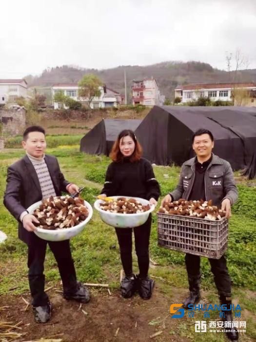 1650937651187922.jpg 17-01-40-33-283825.jpg