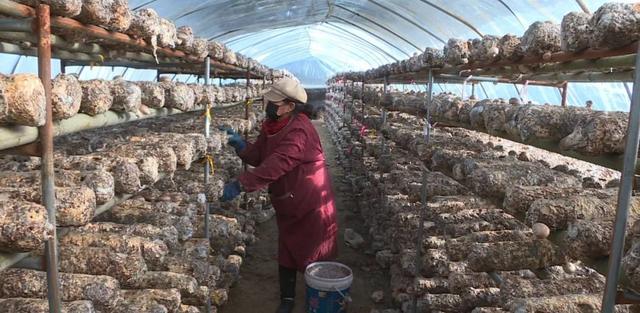 1651027925414345.jpeg 09-54-48-21-283825.jpeg