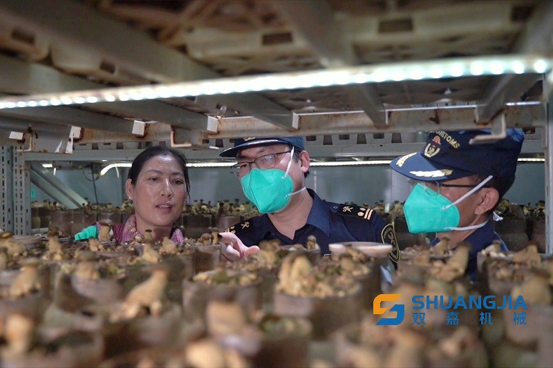 1652406861134965.jpg 17-04-52-87-283825.jpg