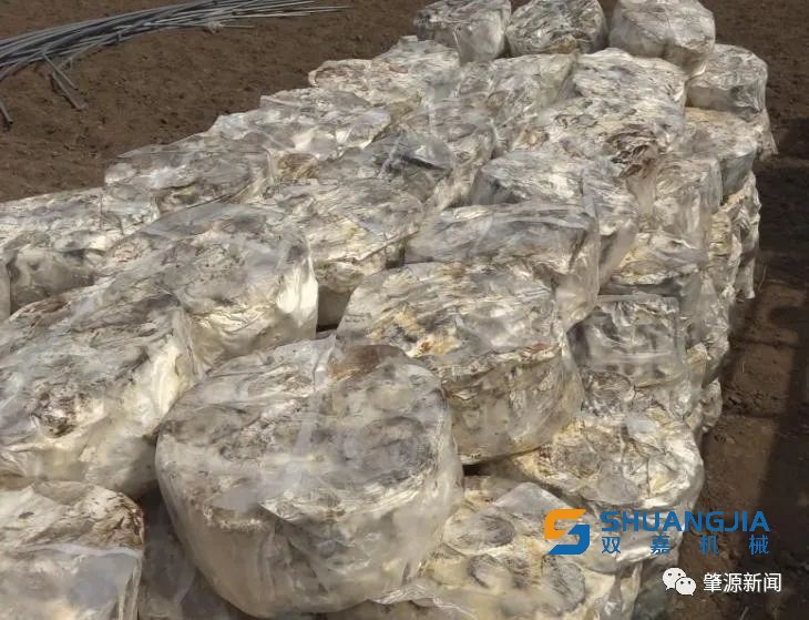 1652752375180045.jpg 16-31-36-49-283825.jpg