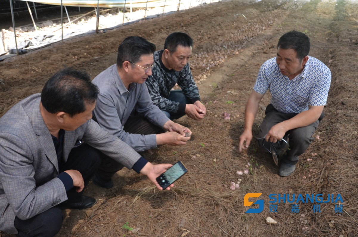 1652923870168048.jpg 17-10-57-78-283825.jpg