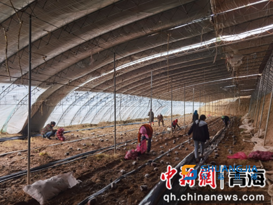 1653099805324753.png 16-50-22-61-283825.png