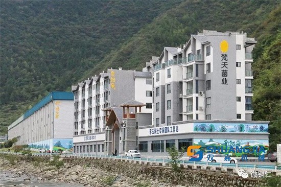 1653292977134451.jpg 14-17-44-28-283825.jpg