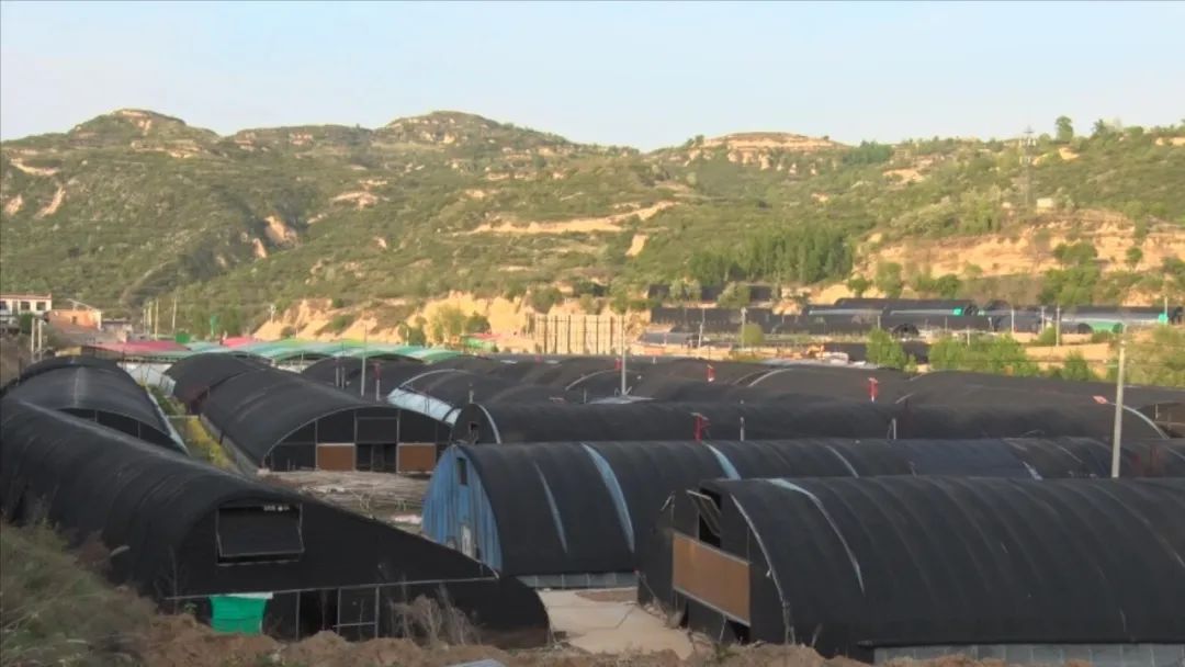 1654649795176781.jpeg 17-23-13-60-283825.jpeg