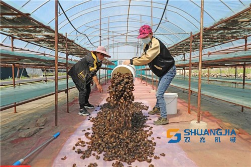 1655344517190996.jpg 10-43-46-57-283825.jpg