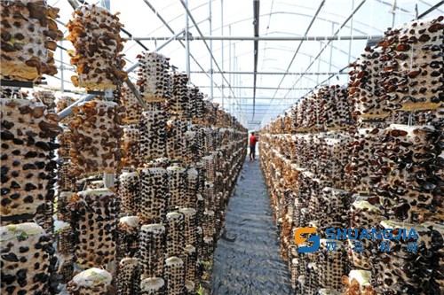 1655344559938055.jpg 10-44-22-79-283825.jpg