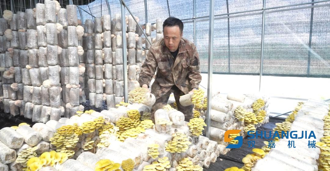 1655681904166984.jpg 15-12-08-30-283825.jpg