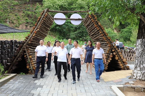 1656036311143952.jpeg 17-00-52-98-283825.jpeg