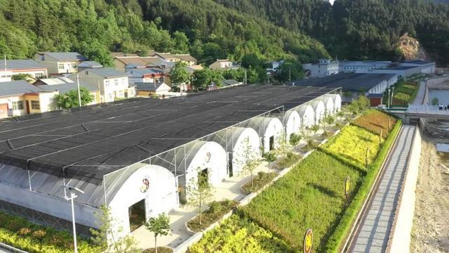 1656377564113614.jpeg 10-24-36-88-283825.jpeg