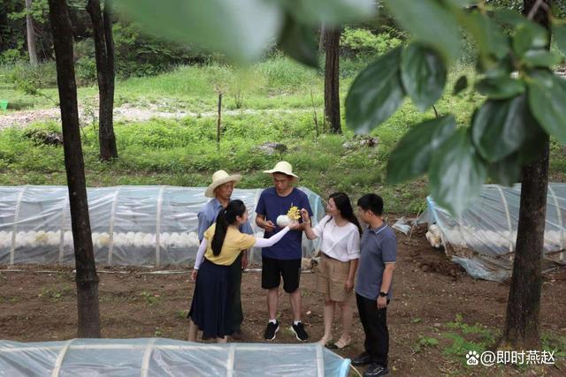 1656378043312044.jpeg 11-50-19-38-283825.jpeg