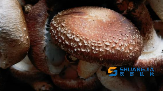 1656378346928372.png 19-22-17-54-283825.png