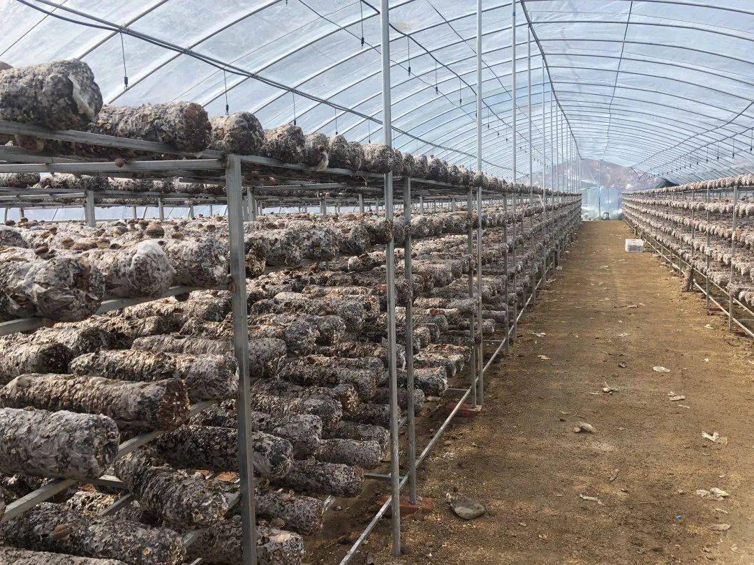 1656553821144827.jpeg 09-07-39-20-283825.jpeg