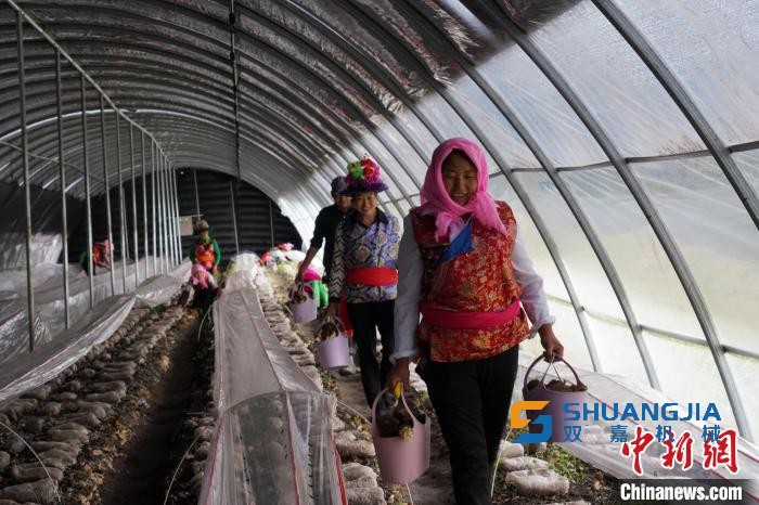 1656901060171246.jpg 23-40-34-24-283825.jpg