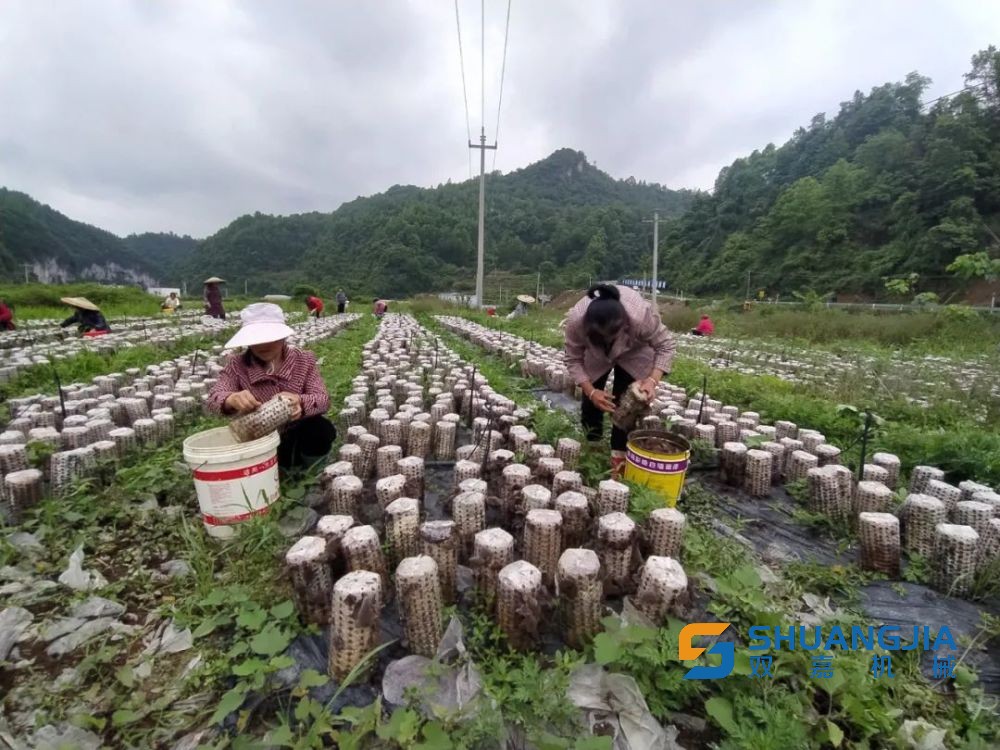 1657159017152736.jpg 23-08-36-40-283825.jpg