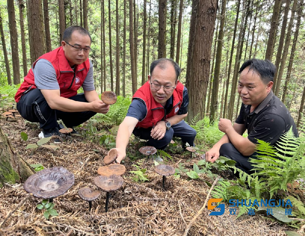 1658112068940564.png 21-15-16-83-283825.png