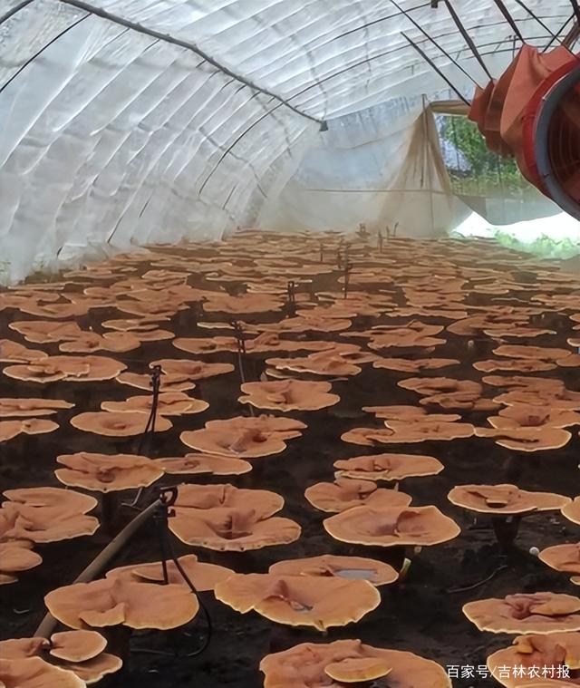 1658886075489410.jpeg 17-04-02-30-283825.jpeg