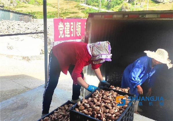 1658886209213817.jpg 09-02-09-71-283825.jpg