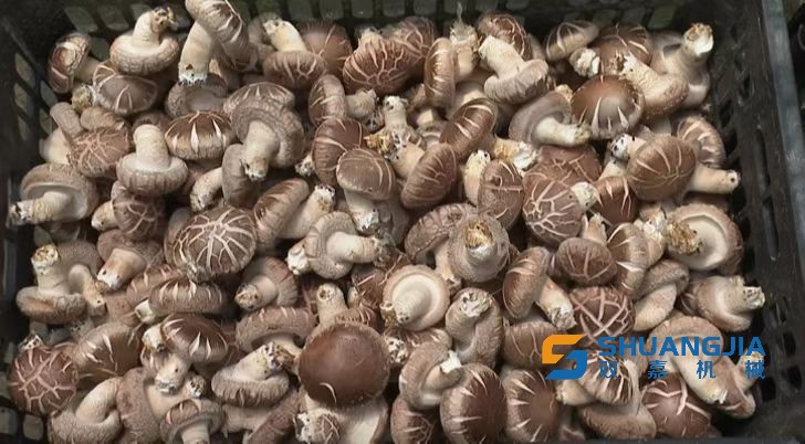 1659326765167196.jpg 10-27-45-20-283825.jpg