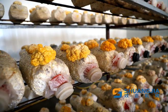 1659605075365378.jpg 15-52-18-50-283825.jpg