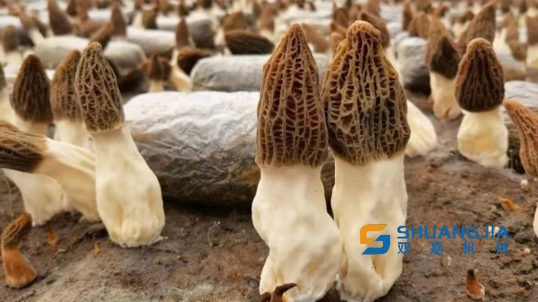 1660192488176409.jpg 21-34-57-28-283825.jpg