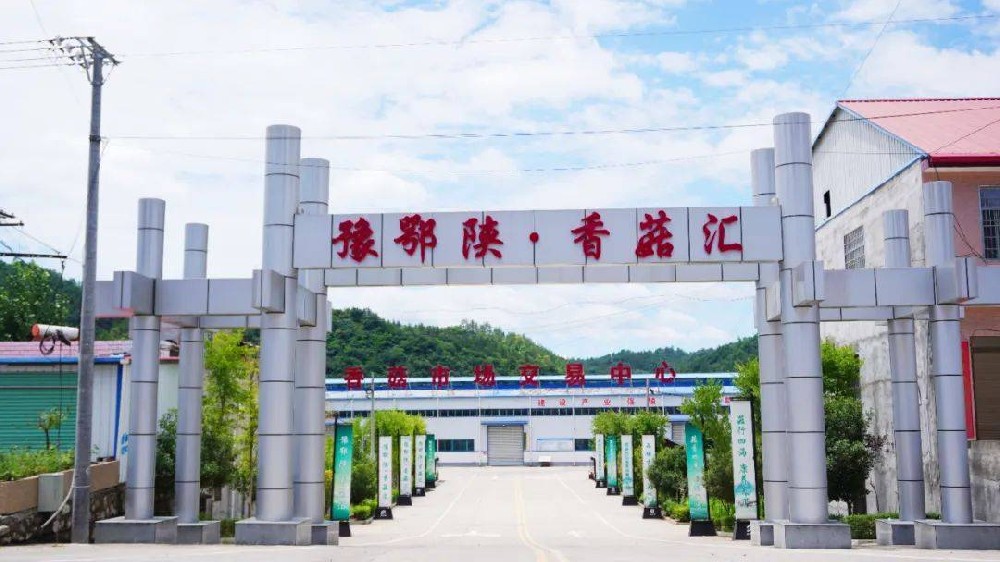 1660915685210634.jpeg 16-48-23-57-283825.jpeg