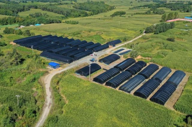 1662883213205298.jpeg 08-26-31-48-283825.jpeg