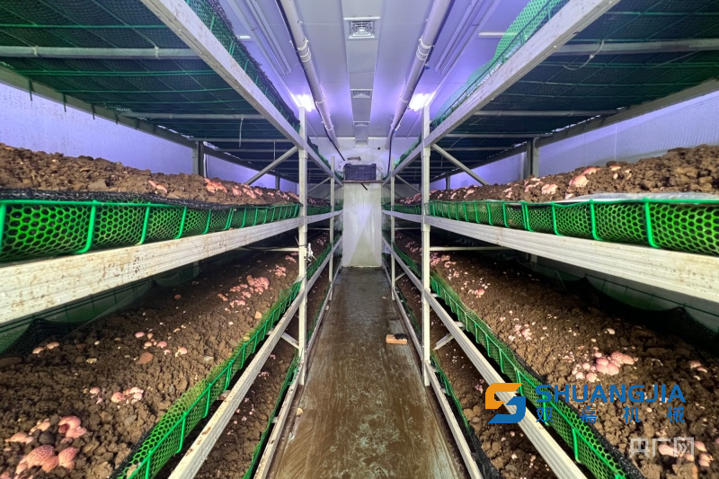 1674181225736738.png 11-16-13-55-1.png