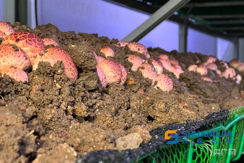 1674181239182419.png 11-15-55-93-1.png