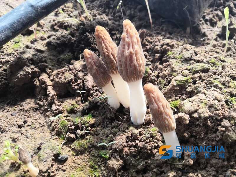 1678854278862781.jpg 10-25-46-49-283825.jpg